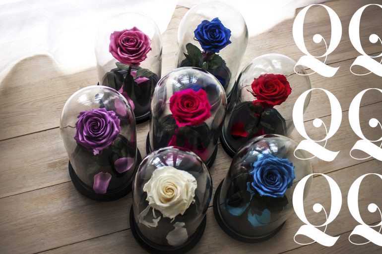 rosa eterna online
